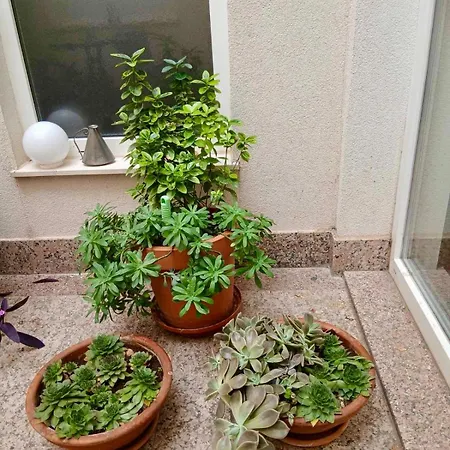 Apartamento Alma